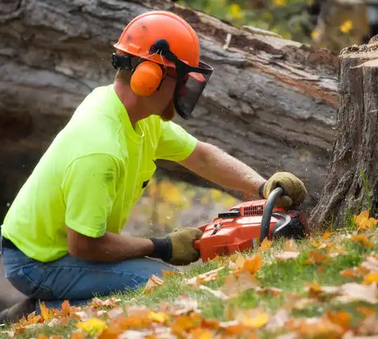 tree services Hibbing